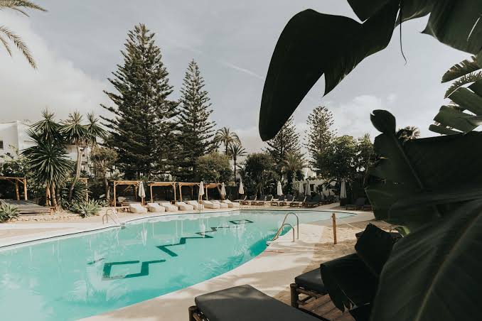 La piscina de Ammo Beach rodeada de palmeras y camas balinesas en Marbella